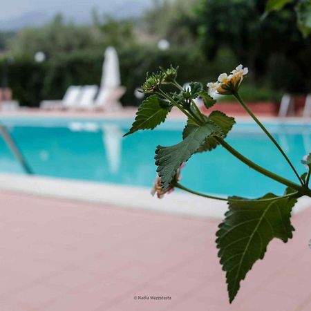 Il Casale Il Sole E La Margherita Campofelice Di Roccella Bagian luar foto