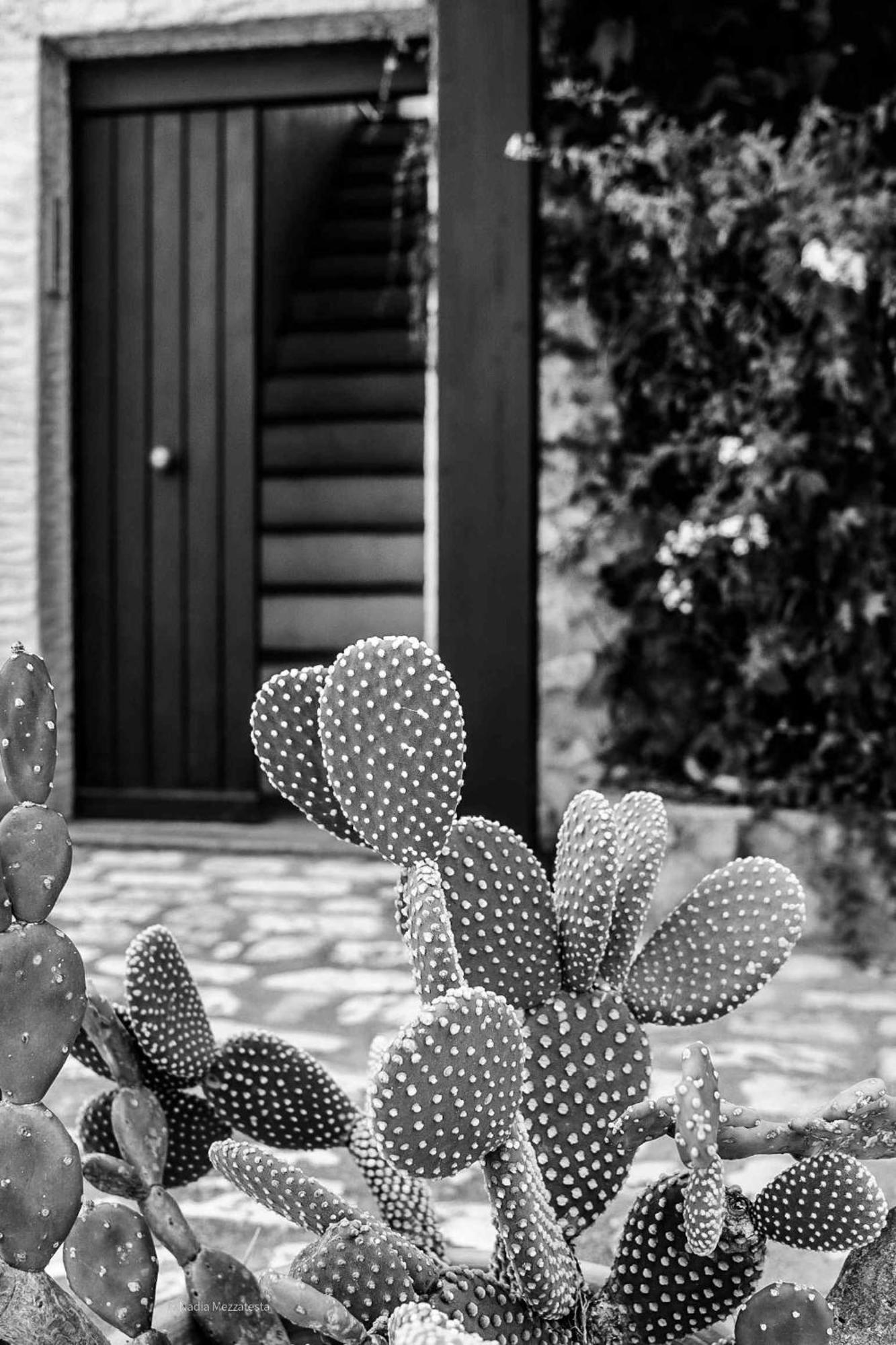 Il Casale Il Sole E La Margherita Campofelice Di Roccella Bagian luar foto