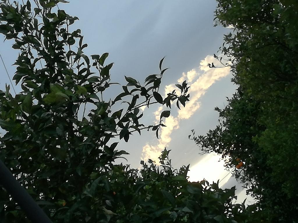 Il Casale Il Sole E La Margherita Campofelice Di Roccella Bagian luar foto