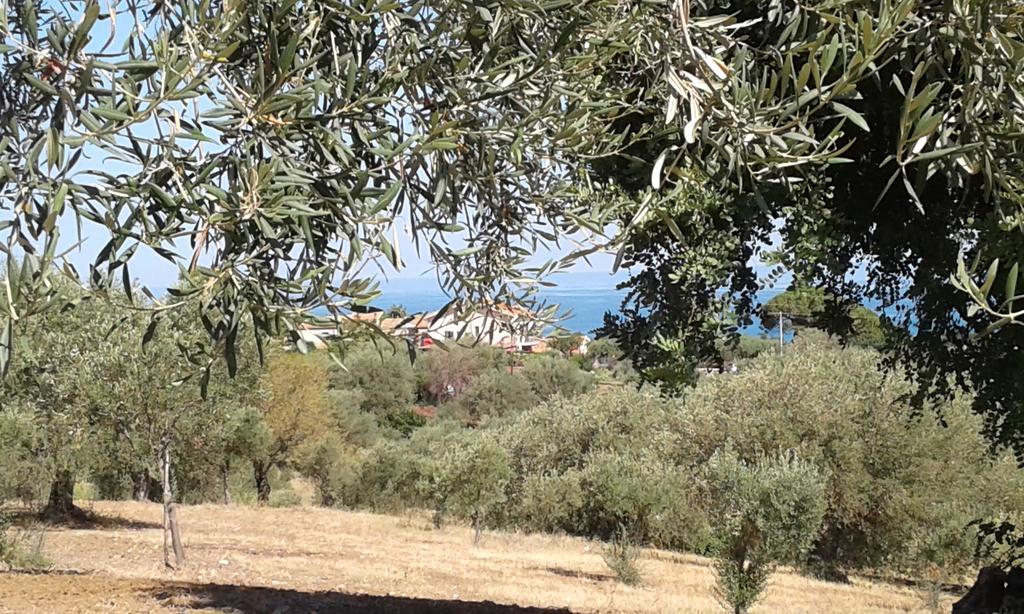 Il Casale Il Sole E La Margherita Campofelice Di Roccella Bagian luar foto